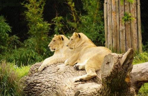 Black Tie Affair - Eloquent Riverfront Experience - Foto 69