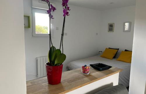 La belle étoile - Foto 9