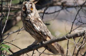 Masseria La Gravina - Foto 61