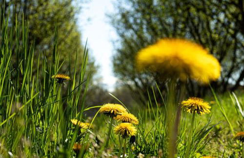 Cà d'Rita Monferrato - Chardonnay idromassaggio e piscina esterni - Foto 37
