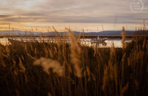 Le Mas aux Amoureux , Suite Romantique et Spa - Foto 31