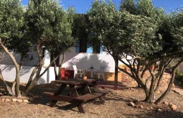 El Rincón de los Albaricoques - Foto 36