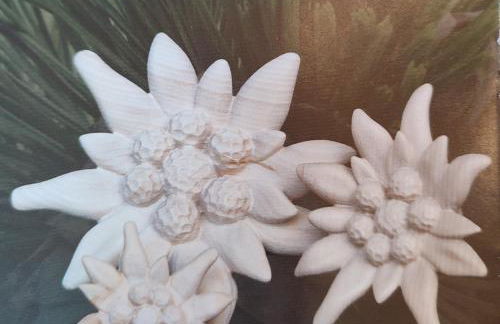 Ferienwohnung 37 Sonnenwald - Foto 38