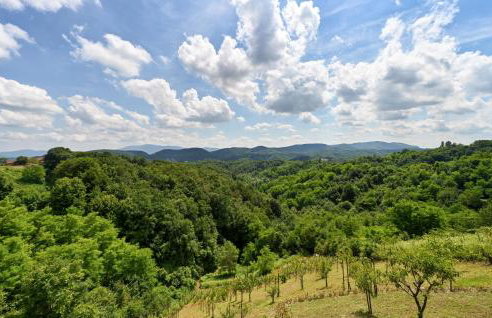 One-Bedroom Holiday Home In Donja Voca - Foto 20