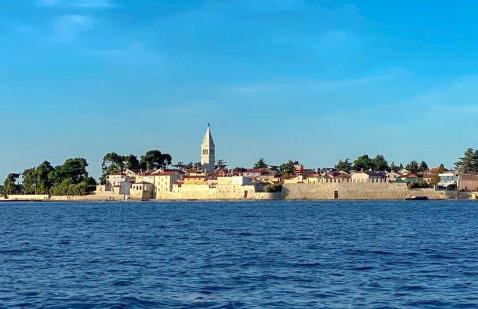 The Green house - 20m from the beach - Photo 31