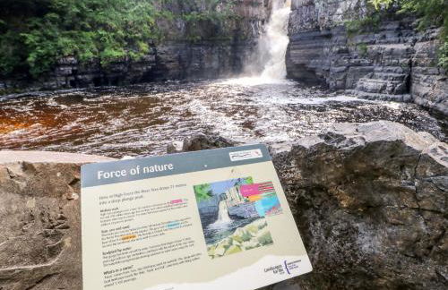 Badgers Sett - Foto 47