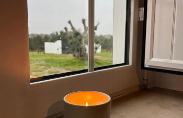 Monte da Lebrinha - Foto 35