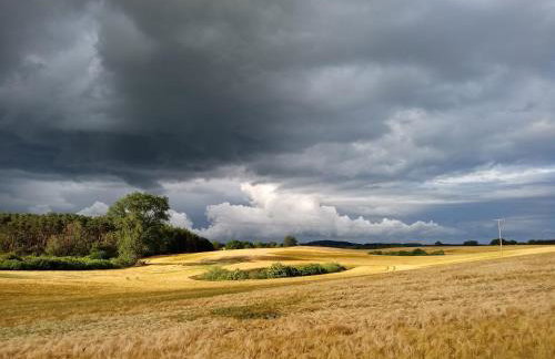 Fischstübchen Neeberg Fewo 6 – Seeadler - Foto 56