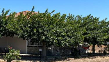 Country-side residence - Foto 2