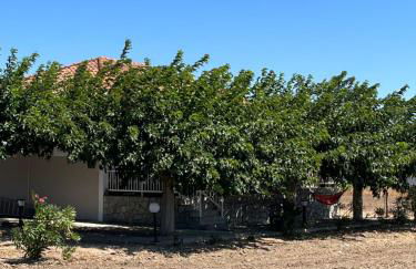 Country-side residence - Foto 2