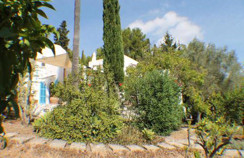 Can Bellet, suspiros ibicencos - Photo 36