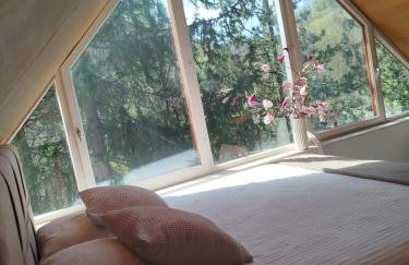 Samobor holiday villa - Samoborski ljetnikovac - Photo 46