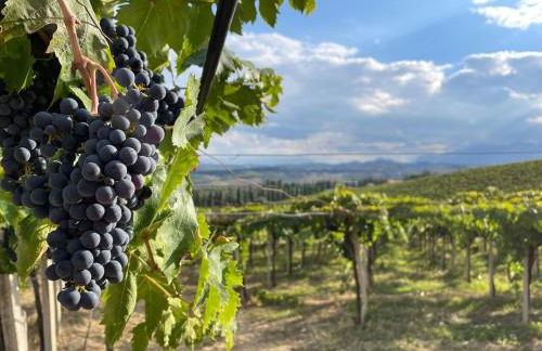 Villa Casabianca - Foto 35