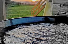 Dom Ci Spokój - Foto 8