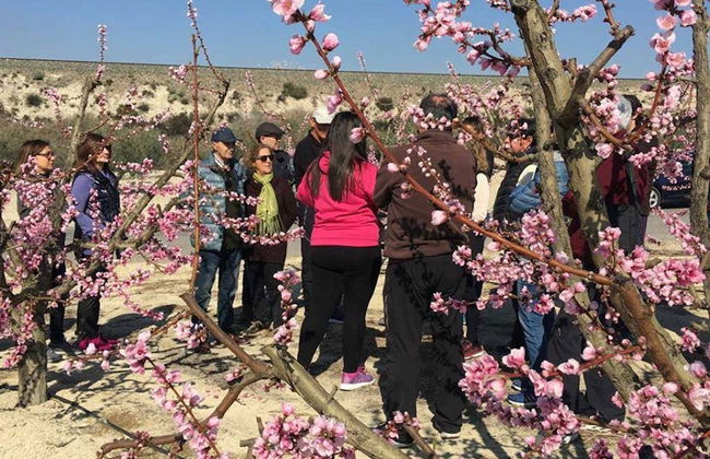 Visite à la découverte de la floraison de Cieza - Photo 3
