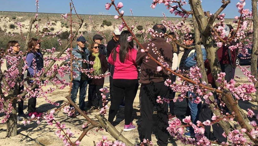 Visite guidée de la campagne de Cieza