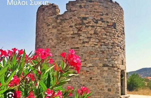 Peter's traditional house - Foto 15