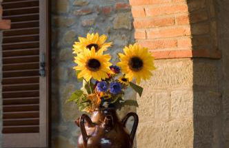 Boschetto del Lago - Foto 92