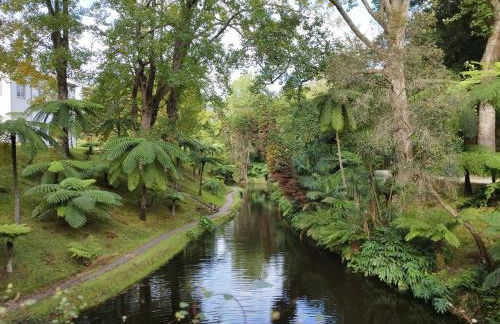 Quinta dos Sentidos Eco Nature Retreat in Azores - Photo 65