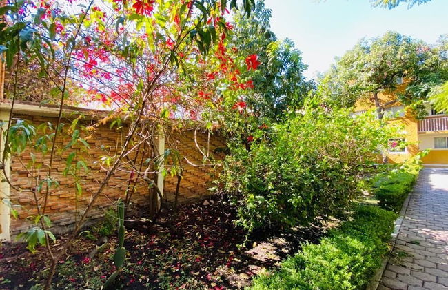 Estancia Centrico, Wifi, Y Servicios Incluidos - Foto 10