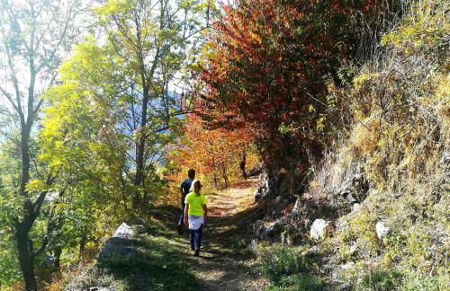 Duplex a la plaça Major - Foto 33