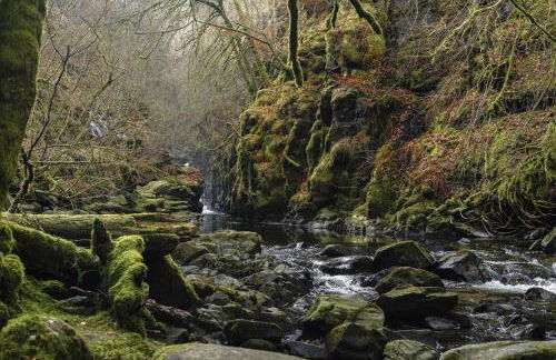 The Church Tower - Photo 58