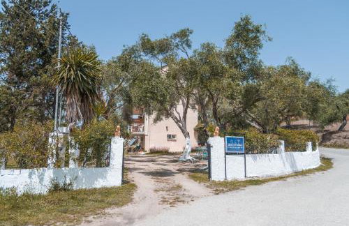 Nikos & Vivi Studios - Foto 15