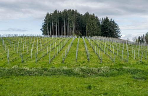 Haus Barbara, Ferienwohnung, 90qm - Foto 21