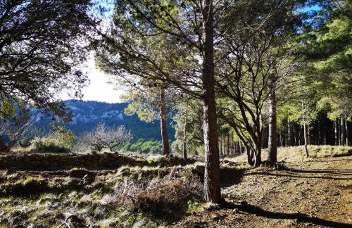 L'Antic Forn de Paüls - Foto 69