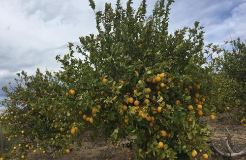 Seafront Dream Apartment - Foto 49