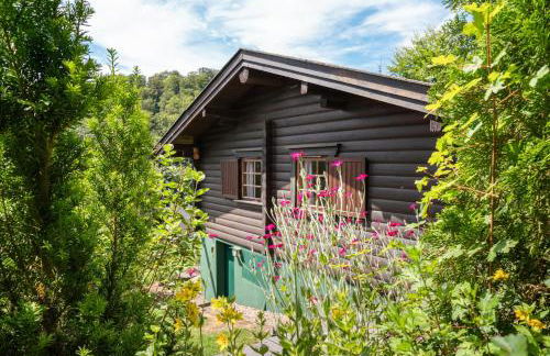 Chalet Bellevue - Foto 27