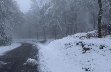 Retiro Da Arminda - Foto 15