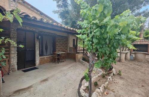 Agriturismo Casa del Contadino - Foto 13