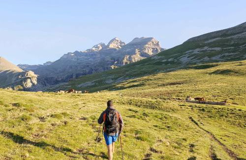 Apartamentos Casa Modesto - Foto 67