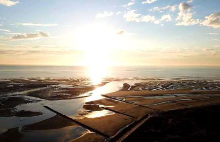 LES VAGUES, terrasse rez-de-ch, parking gratuit, lits faits, animal bienvenu et tout à pied - Foto 33