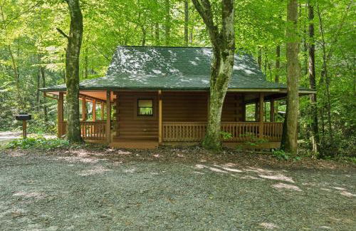 Cozy Creekside Cabin with Wraparound Porch home - Foto 25