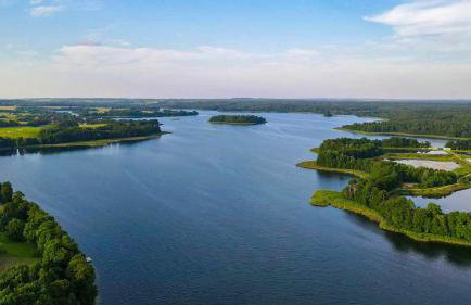 Golden Lofer - Photo 30