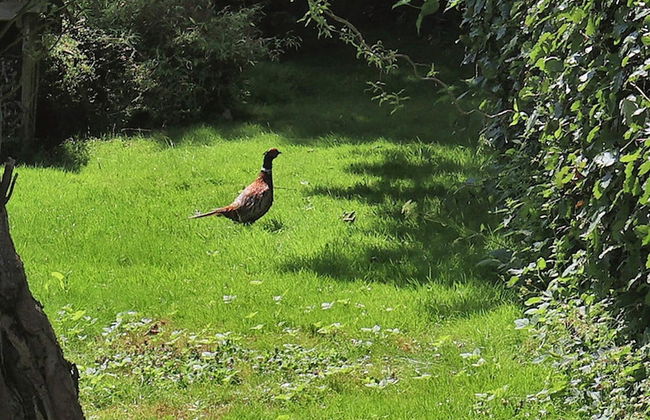 Charming Retreat on Eno - By Traum Ferienwohnungen - Foto 32