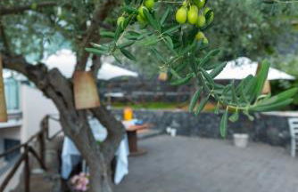 Agata's House - Foto 11