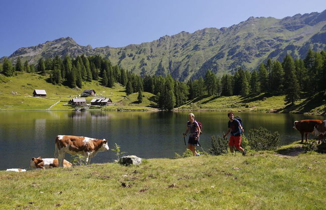 Welcoming Apartment Near ski Slopes - Foto 30