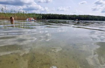 Domek letniskowy Marksoby Sarna - Foto 12