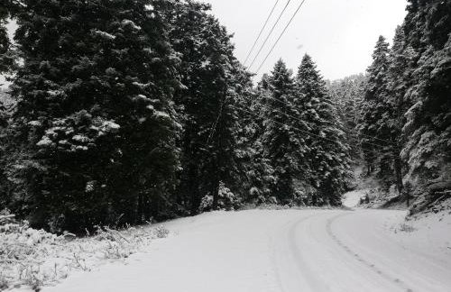 Xenonas Kypseli - Foto 75