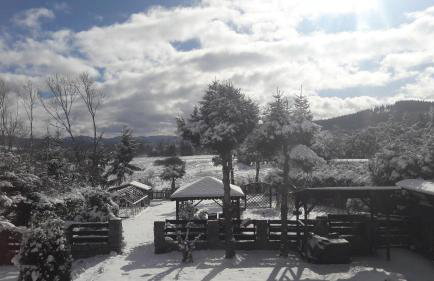 44 Śląska - Foto 21