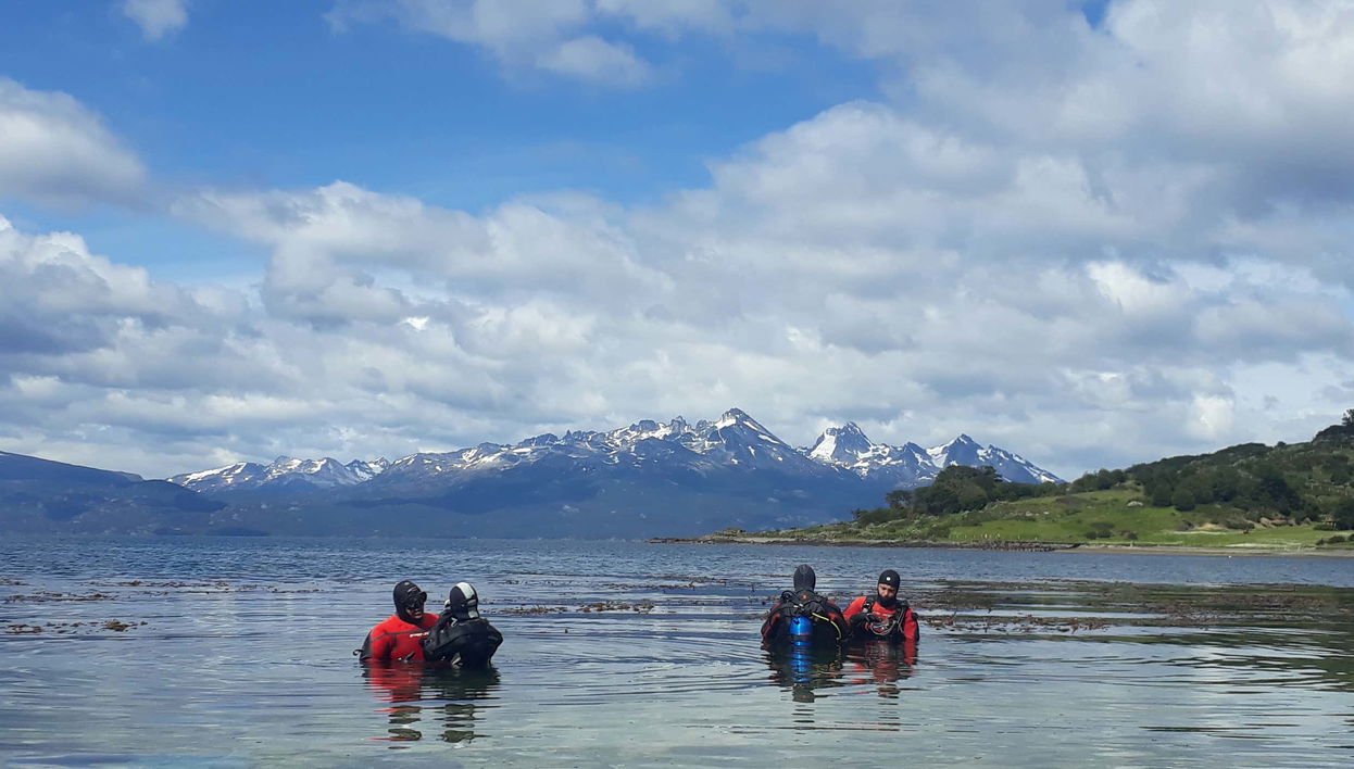 Beagle Channel Diving Introduction - Foto 1