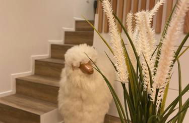 Le Mouton à 5 Pattes Aubagne-Cassis-Aix en Provence - Foto 1