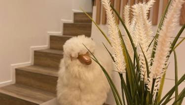 Le Mouton à 5 Pattes Aubagne-Cassis-Aix en Provence - Foto 1