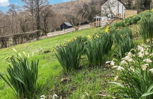 Middle Hanter - Uk37355 - Foto 29