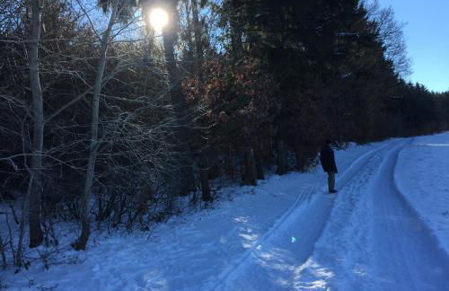 Panoramablick - Foto 32