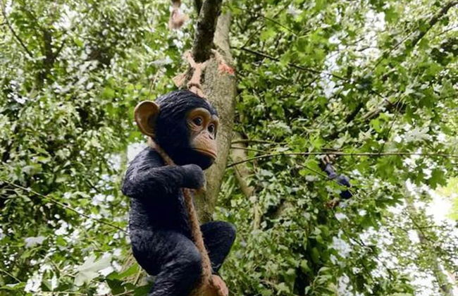 Inviting 1-bed Cabin in Newmarket - Foto 5