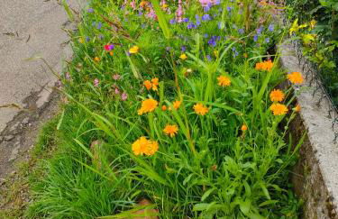 home edwige - Foto 54